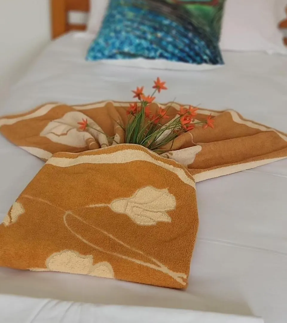 Apartament Elerin Agia Efimia